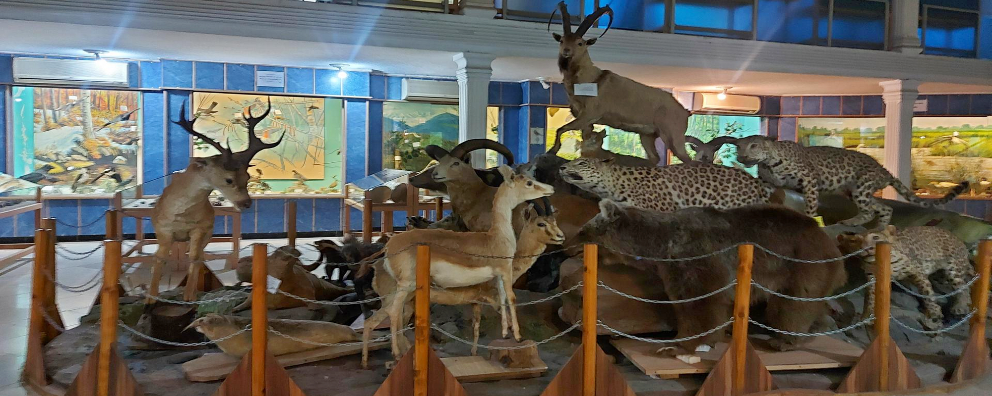 Rasht Natural History Museum, Gilan Tourist Attractions