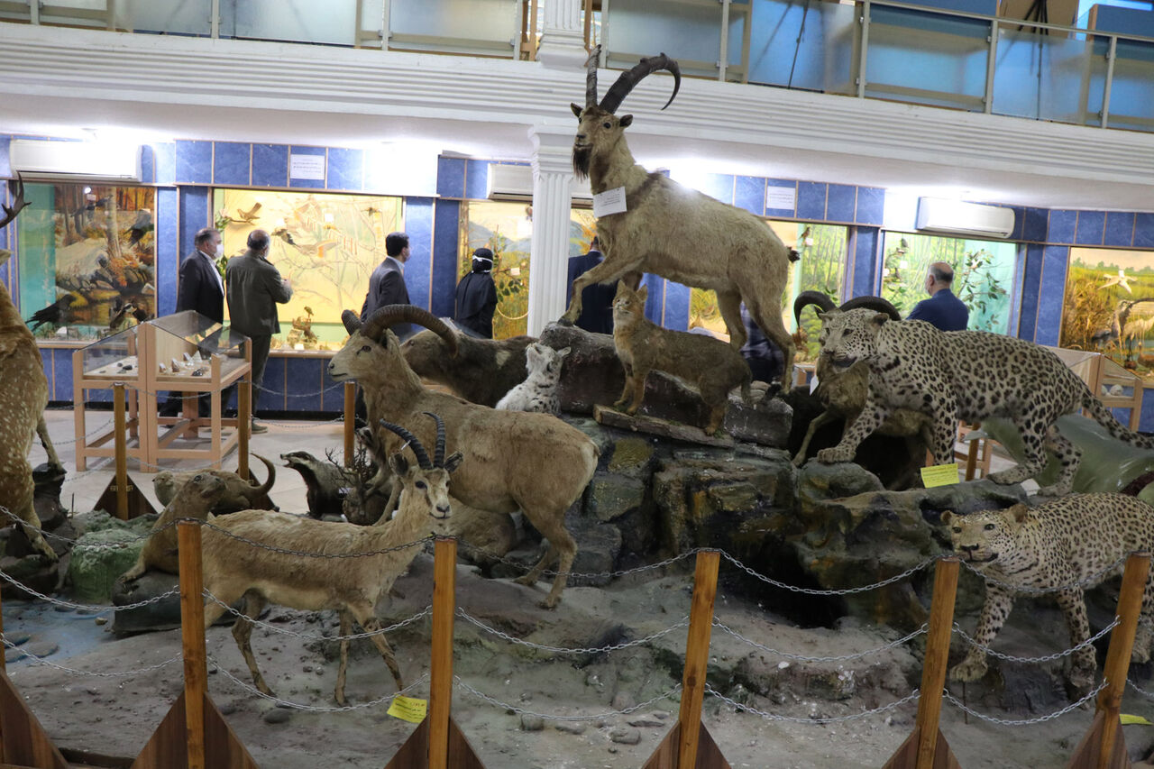 Attractions in Gilan | Rasht Natural History Museum Attractions in Gilan | Rasht Natural History Museum