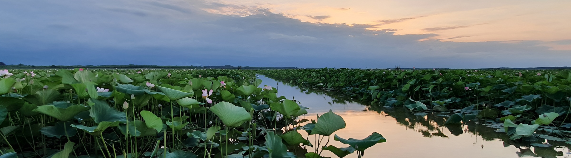 Anzali Lagoon, Gilan Tourist Attractions