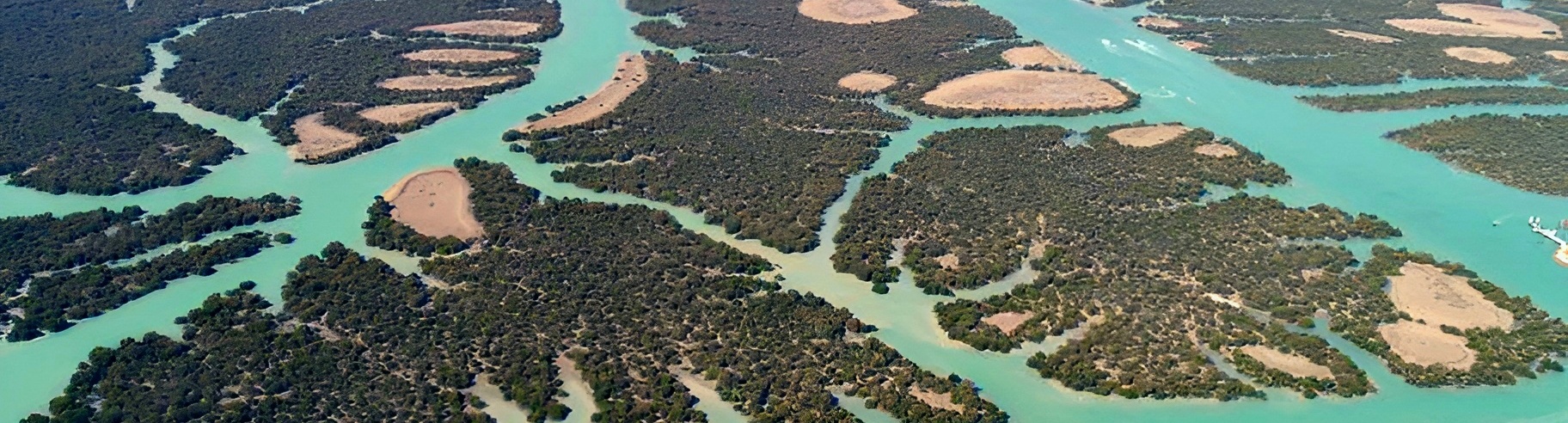 Hara Jungle on Qeshm Island, Hormozgan Tourist Attractions