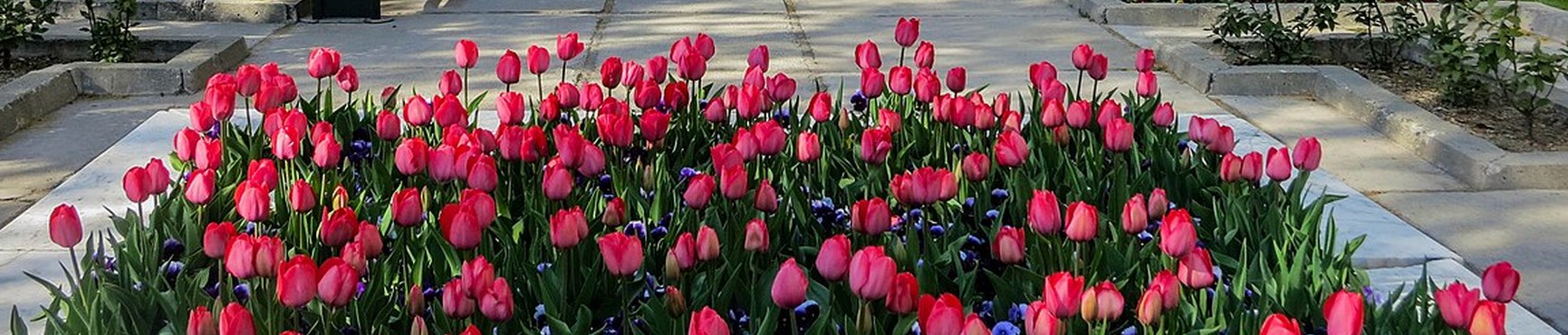 Mellat Park, Tehran Tourist Attractions Mellat Park, Tehran Tourist Attractions