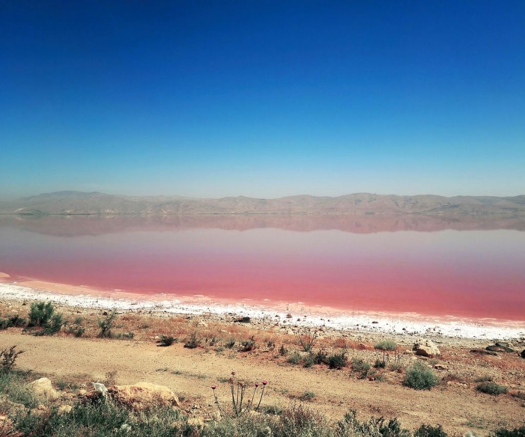 Pink Lake Shiraz