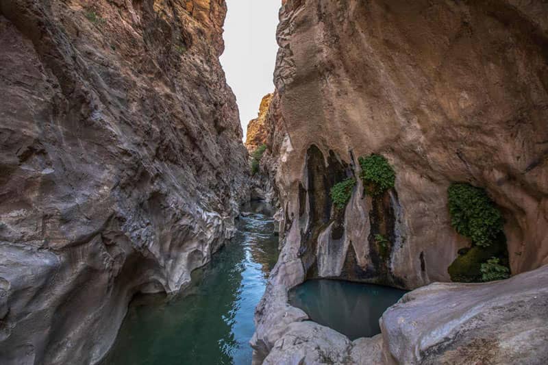 Lily Canyon in Khorramabad