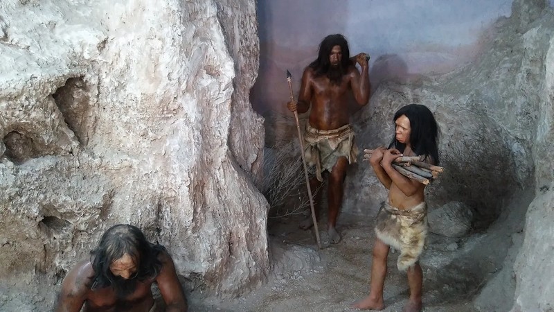 Persian Gulf Museum of Anthropology Artifact