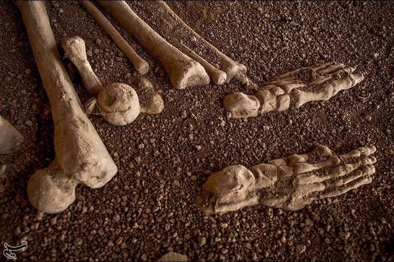 Mazandaran Province: Gouhar Tepe