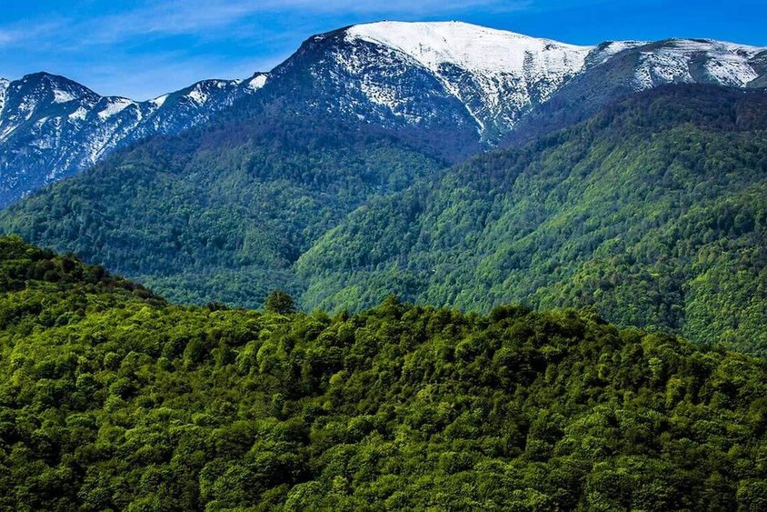 Gilan Province: Hyrcanian Forests