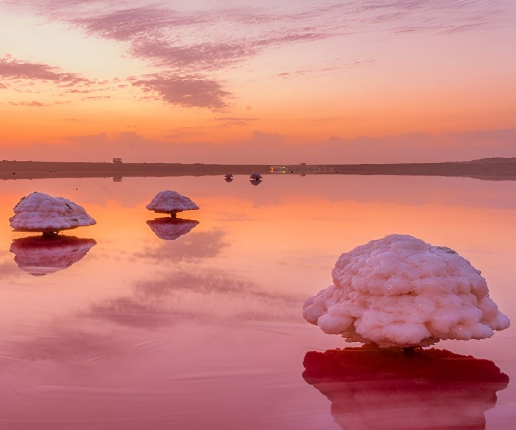 Maharloo Lake Shiraz
