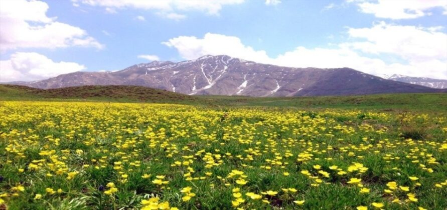 Northern Iran: Lar National Park