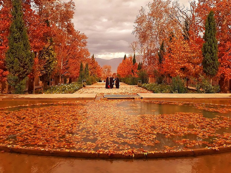 Shahzadeh Mahan Garden In Fall