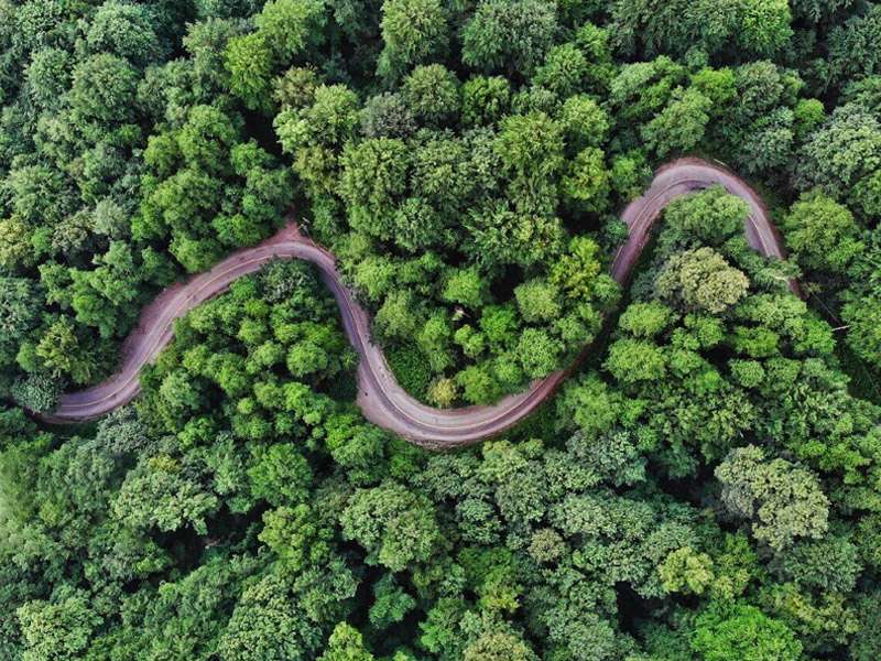 Golestan Province: Chalus Road in Golestan National Park