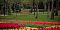  Attractions in Tehran | Mellat Park
